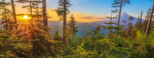Photo sur Plexiglas Amérique centrale Belle vue sur le mont Hood dans l& 39 Oregon, aux États-Unis.