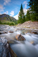 a stick on a stone in a creek