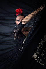 Young flamenco dancer in beautiful dress on black background. - obrazy, fototapety, plakaty