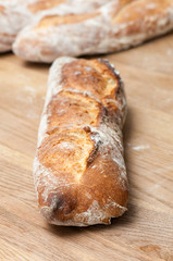 Bread-French baguettes