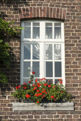 Fototapeta na wymiar window in old wall with french geranium flowers