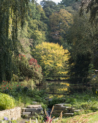 park and pond in autumn