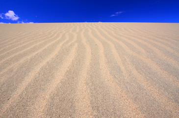 Mesquite Flat Sand Dunes