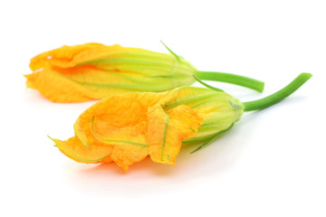 Blüten