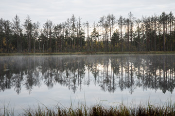 Fototapeta premium reflections in the lake water