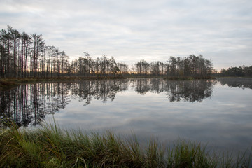 reflections in the lake water