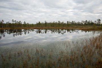 reflections in the lake water