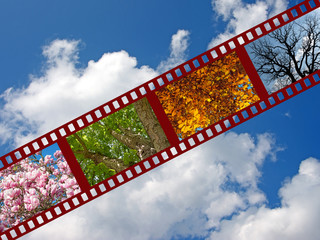 Bilder und Videos suchen: "4 jahreszeiten"