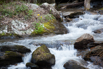 Mountain stream cascading by rocks