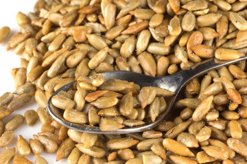 roasted sunflower seeds with a spoon