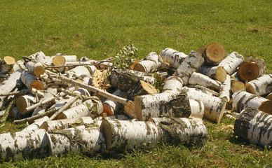Birch firewood in heap on grass