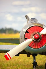 View on propeller on old russian airplane on green grass