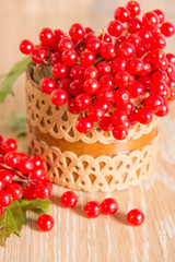 red berries of viburnum