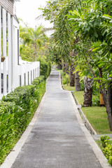 Obraz premium Landscaping in the garden. The path in the garden