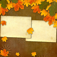 Naklejka na ściany i meble Bright multicolored autumn leaves on the abstract beautiful back