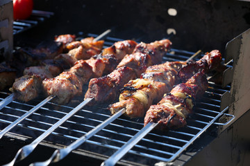 Skewers on barbecue grill, close-up