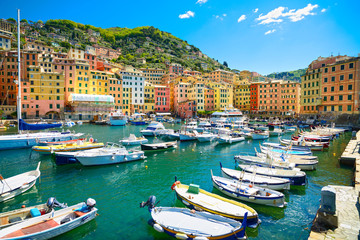 Camogli marina harbor, boats and typical colorful houses. Ligury