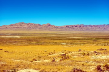 Eastern Nevada Landscape