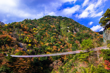 紅葉と吊り橋