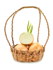 Fresh Onion in the basket isolate on white background