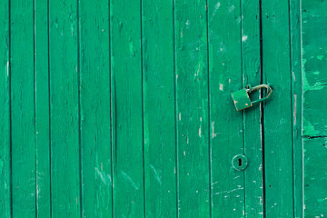 Porta in legno verde