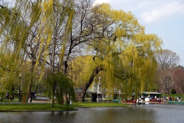 Fototapeta na wymiar Boston Common and Public Garden, USA