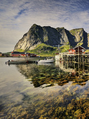 Norwegia ,  Sakrisoy, mały port