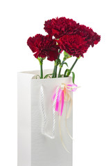 Gift Box and Bouquet from Carnations Flowers Isolated on White.