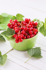 Red currant