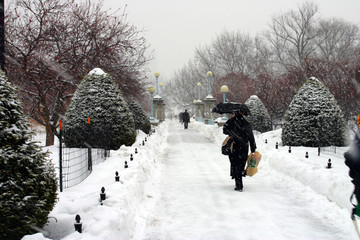 Boston Winter..