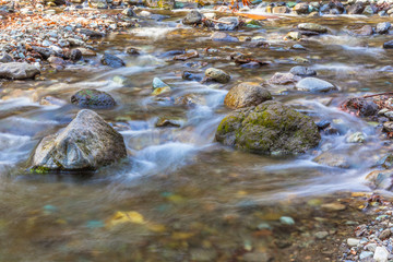The flow of the brook