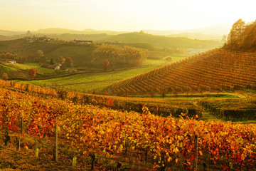 Langhe