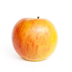 Pommme Cox orange