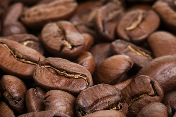 big arabica coffee beans background