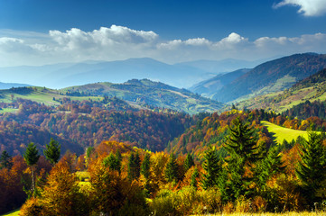 Autumn landscape