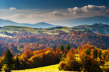 Obraz premium Autumn landscape