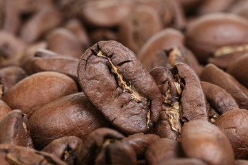 big arabica coffee beans background