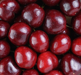 ripe cherries close up
