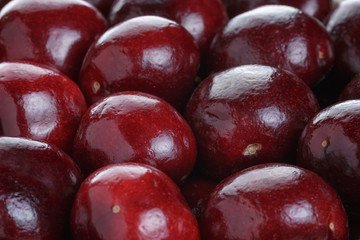 ripe cherries close up