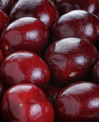 ripe cherries close up