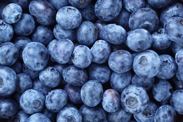 Peel and stick wall murals Dining Room fresh ripe  blueberries berries