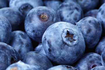 fresh ripe blueberries closeup