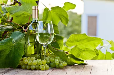 Papier Peint photo Vin green grape and white wine in vineyard