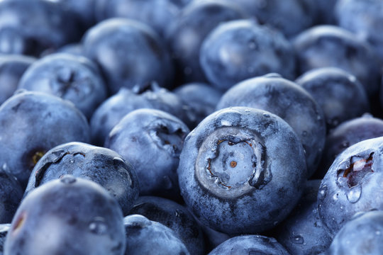 freshly washed blueberries close up photo