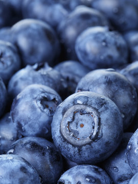 freshly washed blueberries close up photo