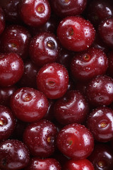 ripe washed cherries close up