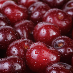 ripe washed cherries close up