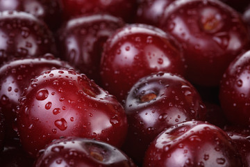 ripe washed cherries close up