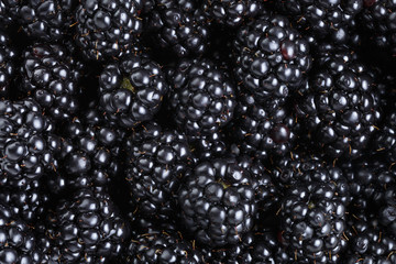 ripe organic blackberries close up © GCapture