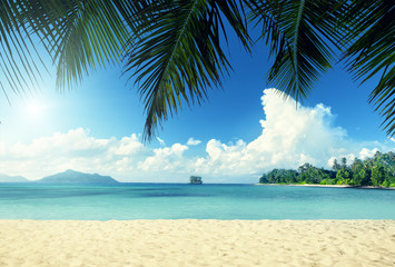 Plakat tropical beach